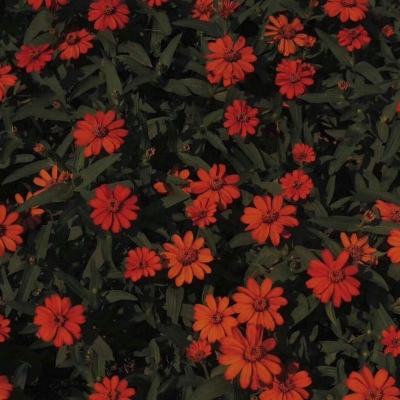 凯时ag登录入口